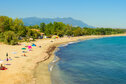 nps-GOELIA.Corse383.JPG
