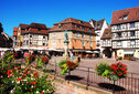 LeHerbau-ARTES_61.jpg