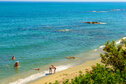 nps-GOELIA.Corse385.JPG