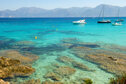 nps-GOELIA.Corse423.JPG