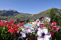 nps__c_Marmottes658.JPG