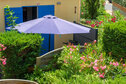 nps-GOELIA.Portiragnes311__1_.JPG
