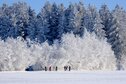 hiver.jpg